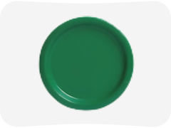 Green Party Supplies