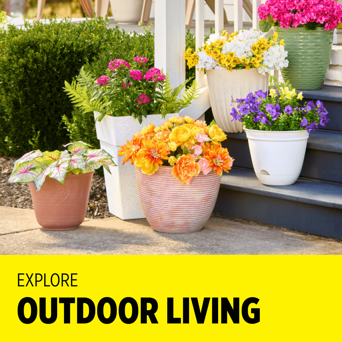 Outdoor Living Finds