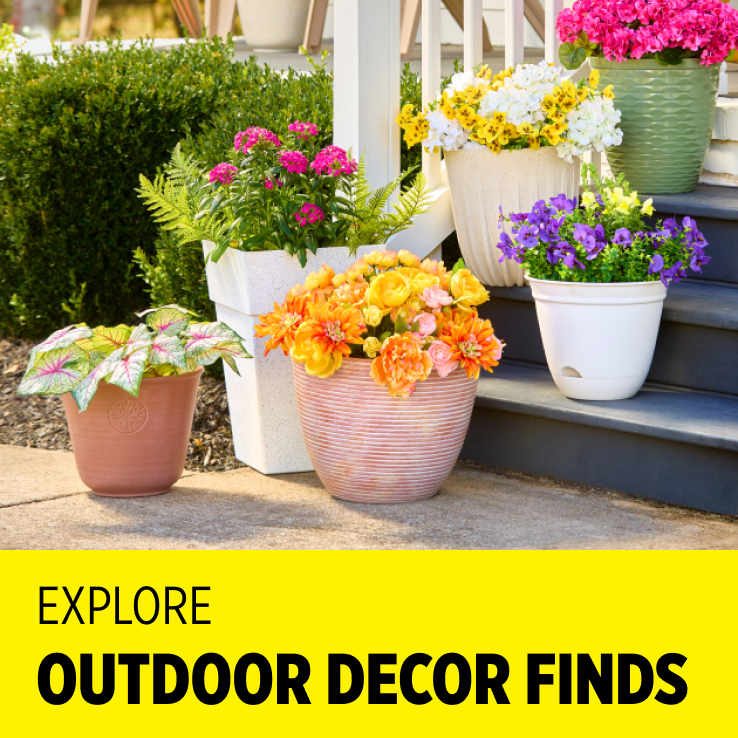 Outdoor Living Finds