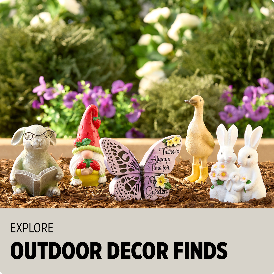 Explore Outdoor Decor