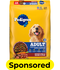 pet