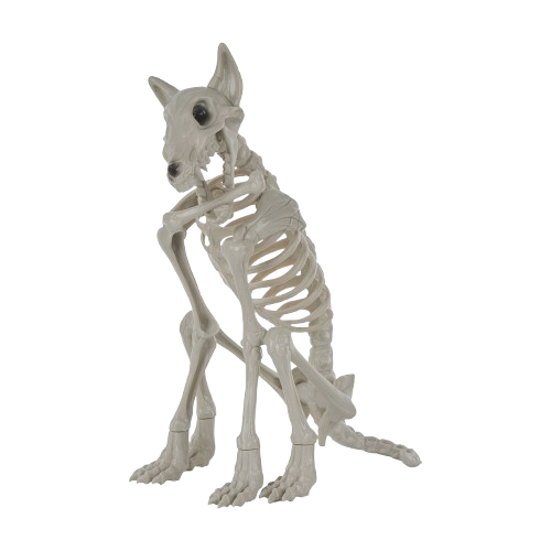 $5 Halloween Decor