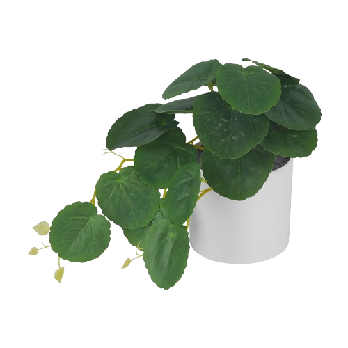 Artificial Plants & Flower Stems