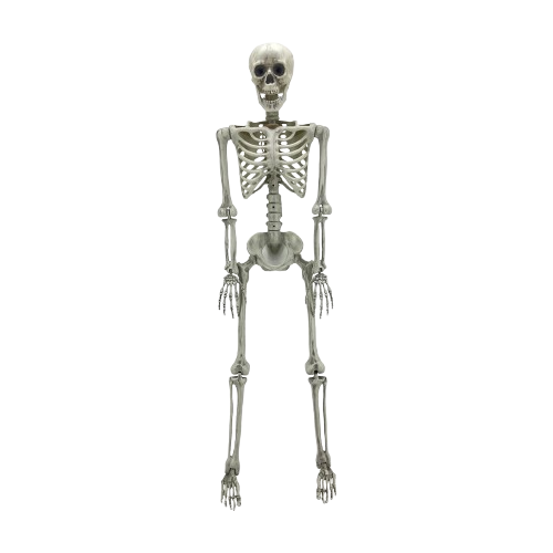 Outdoor Halloween Decorations