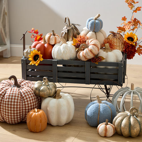 Fall Pumpkin Patch