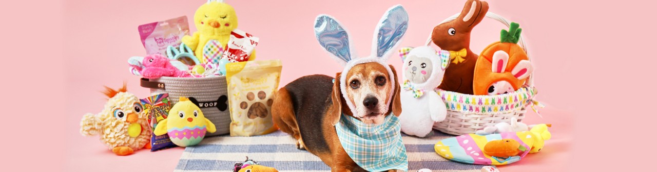 Dog in bunny ears with Easter baskets full of plush dog toys, dog treats, bandanas & more.