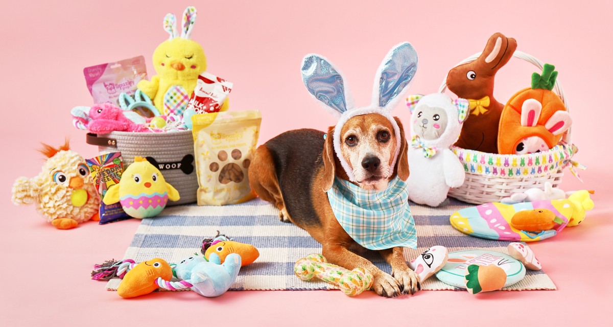 Dog in bunny ears with Easter baskets full of plush dog toys, dog treats, bandanas & more.