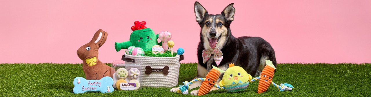 Dog wearing Easter bowtie with Easter basket full of plush dog toys, dog treats & more.