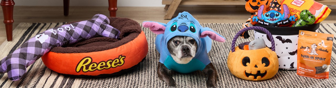 Dog dressed in a Stitch Halloween costume isurrounded by a REese's dog bed, halloween stuffed dog toys, and dog treats.