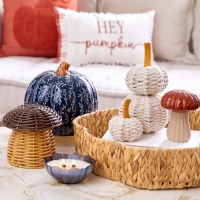 Fall Tabletop Decor