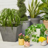 Planters, Pots & Plant Stands