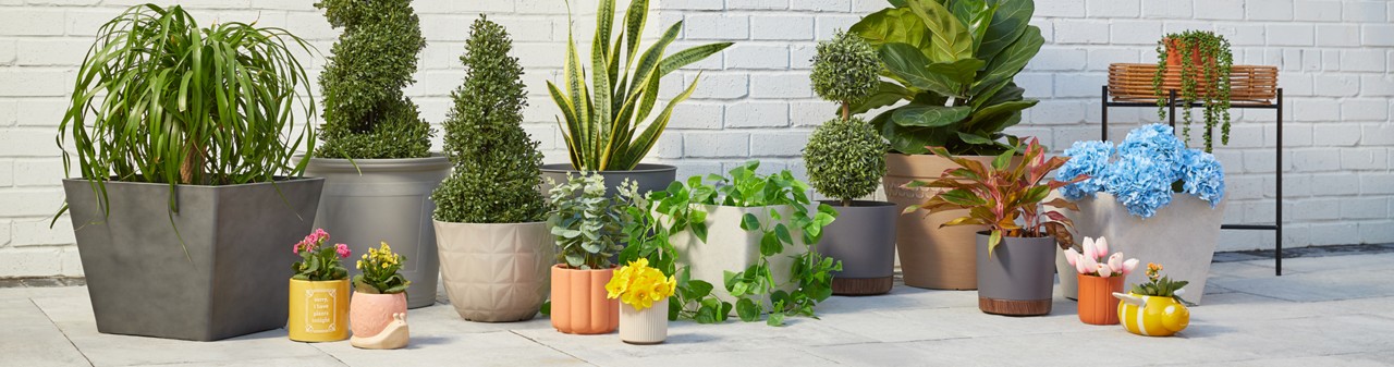Various colors and designs of pOpshelf outdoor planters, flower pots, and plant stands filled with greenery and flowers on a patio.