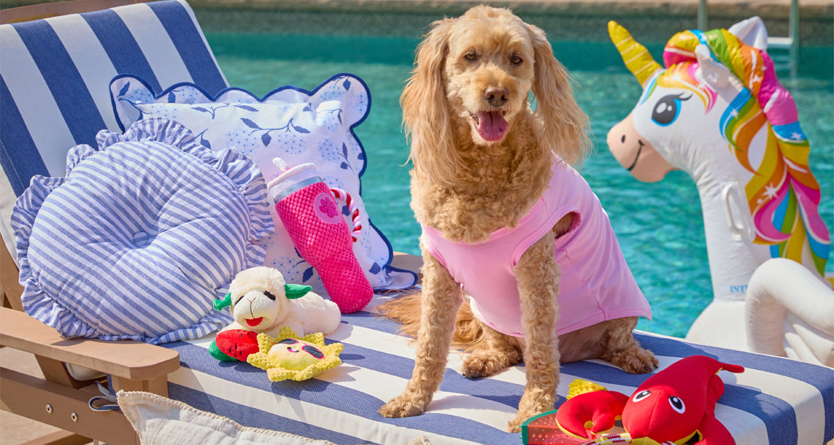 Colorful dog toys and balls, water bottle, doggie splash pad & more from pOpshelf.