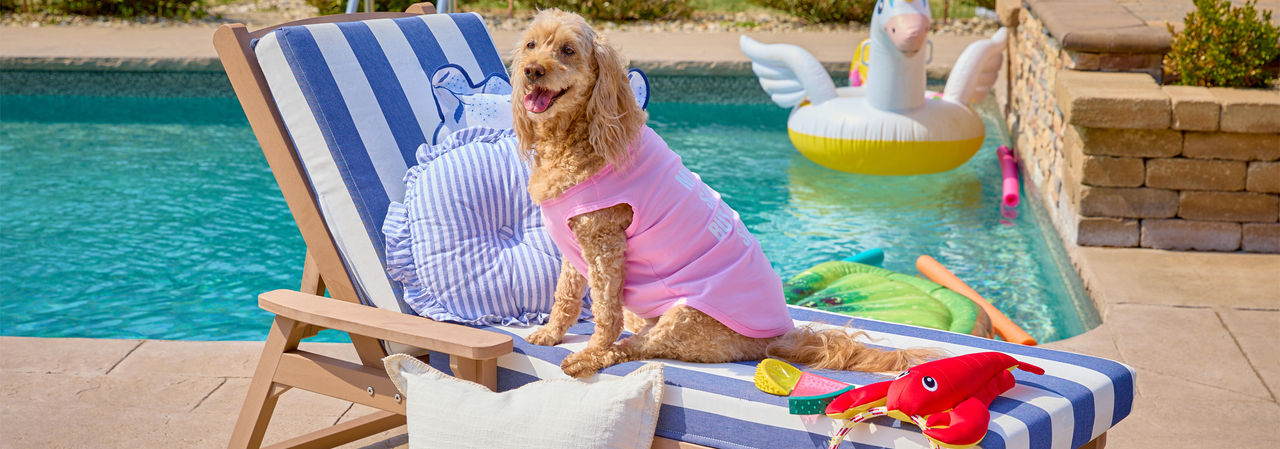 Colorful dog toys and balls, water bottle, doggie splash pad & more from pOpshelf.