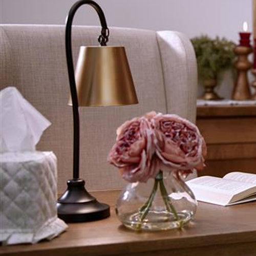 Winter Library Decor Collection