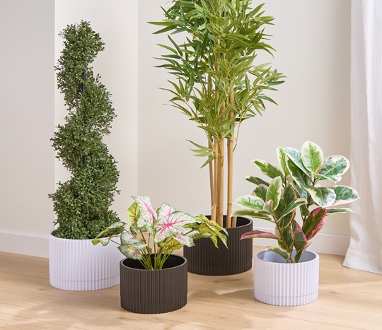 Ribbed planters in black or white and various sizes.