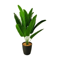Faux Greenery in Plastic Pot
