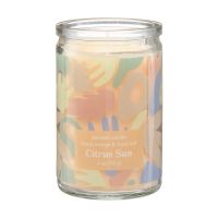 Citrus Sun Blood Orange & Basil Leaf Scented Candle, 4 oz